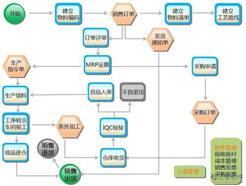 ERP國家標(biāo)準(zhǔn)與網(wǎng)絡(luò)技術(shù)服務(wù) 數(shù)字化轉(zhuǎn)型的基石與橋梁